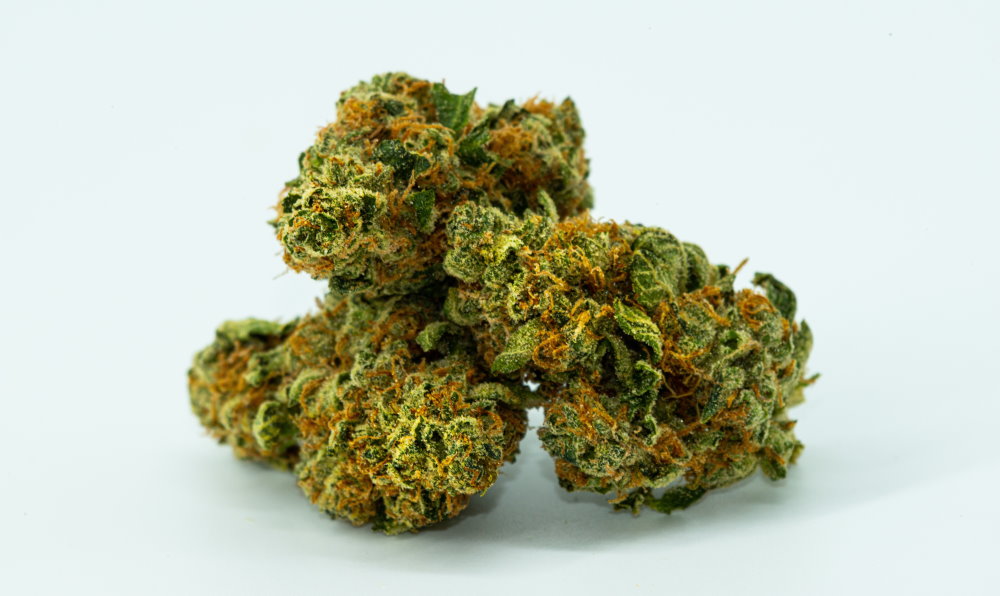 buds of cannabis