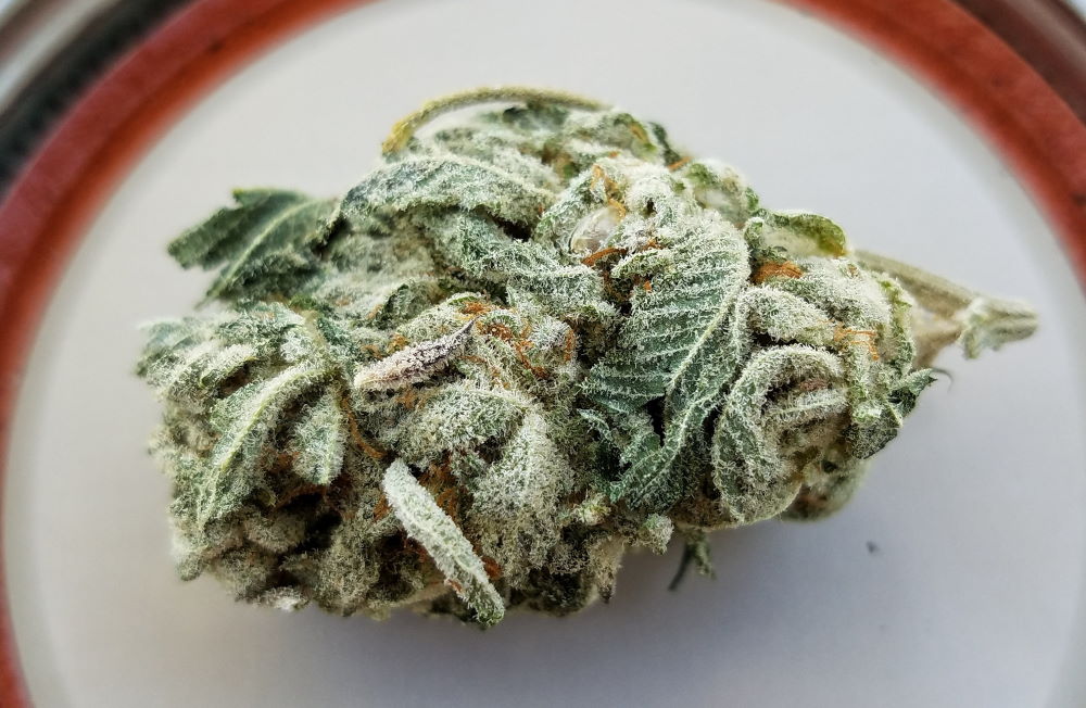 cannabis flower up close