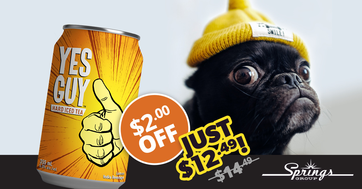 Pug in yellow hat