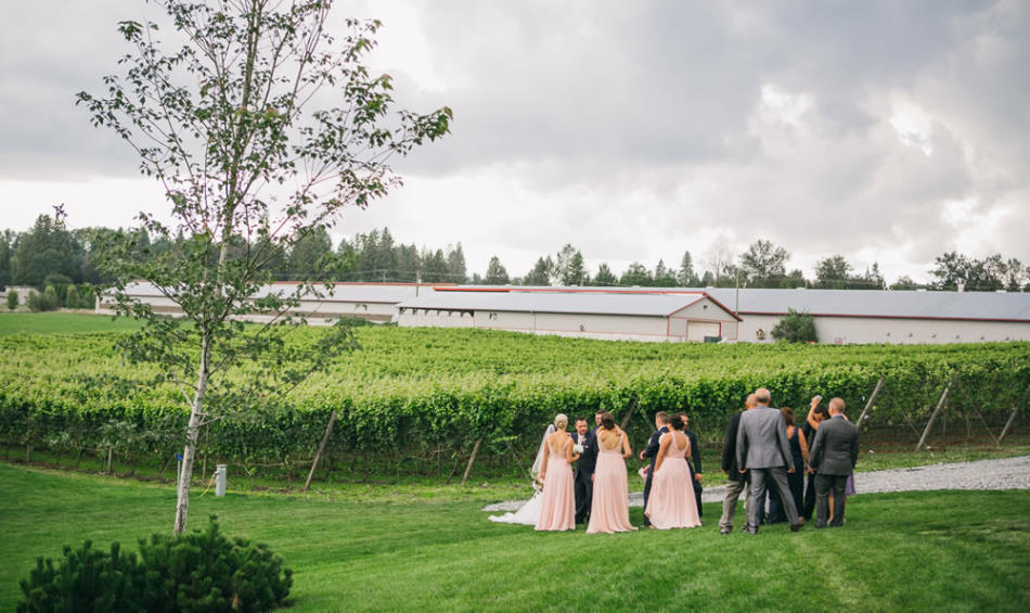 wedding crowd at Singletree Winery