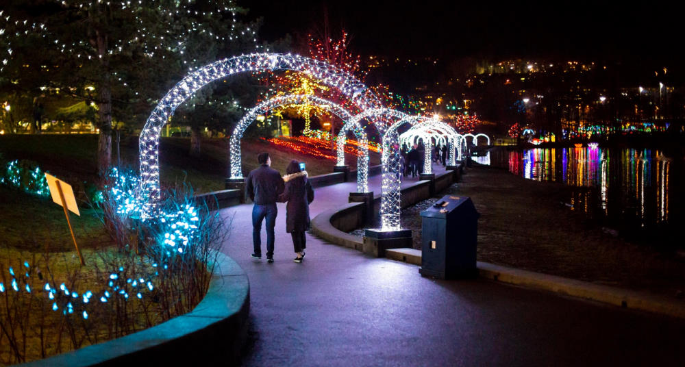 Lights at Lafarge Lake