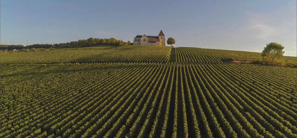 field and house in Champagne