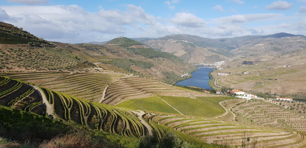 rolling hills and fields in Portugal