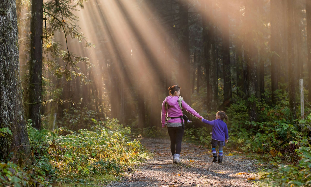 walking trails at Golden Ears