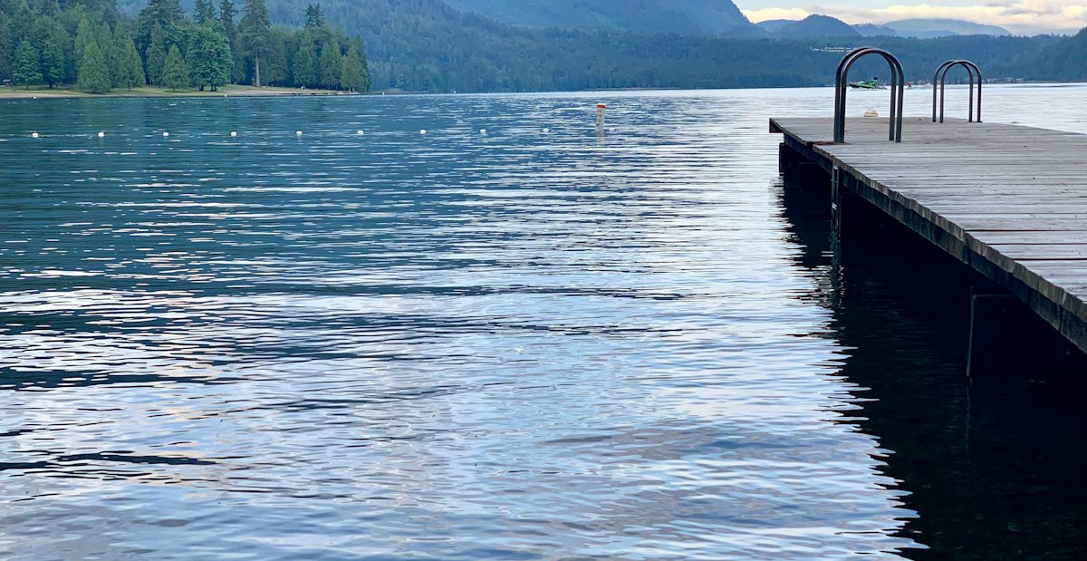 swimming area and dock