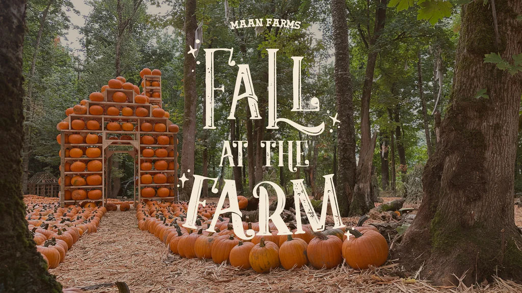 Fall at the Farm
