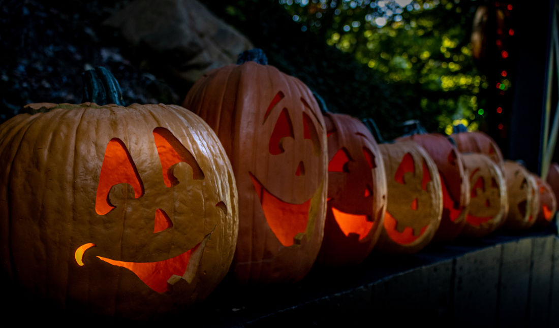 carved pumpkins with lights