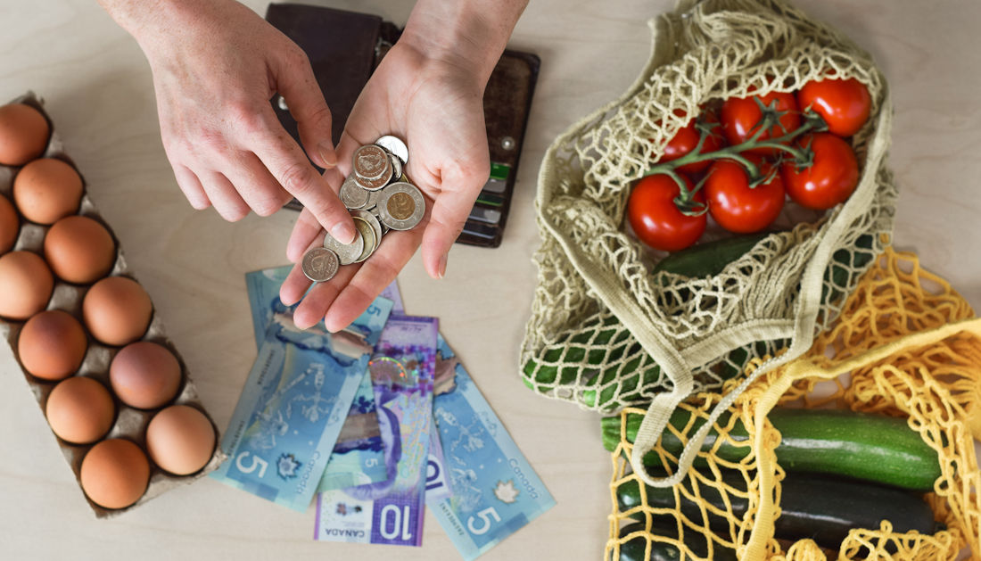 counting grocery money