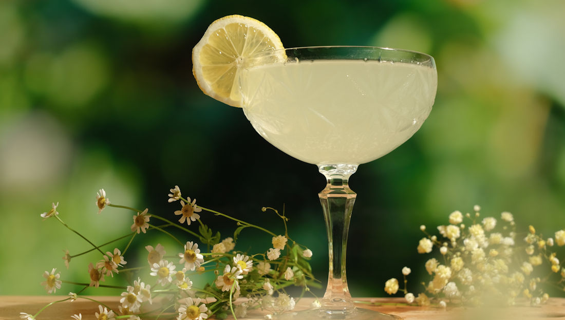 Elderflower gin Martini
