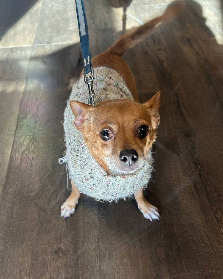 Chica in her sweater